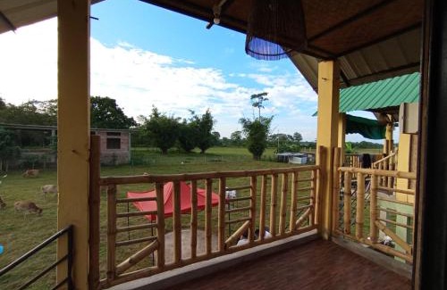 Golaghat Other | Kāziranga Nature Stay