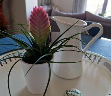 Karavomylos Apartment | K for Kefalonia