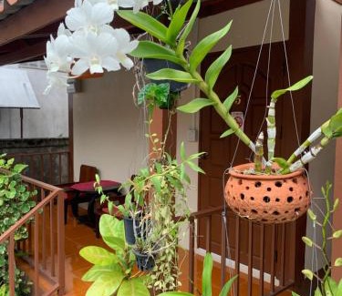 Chiang Khan House | K Khan Garden at Chiang Khan Walking Street
