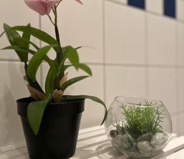 Kaßberg Apartment | K2-Project - JugendSTIL - Kaßberg pur erleben