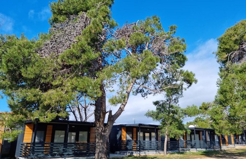 Privlaka Resort | K9 Mobile Home Camp Dalmacija Privlaka
