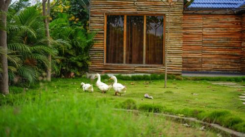 Kanakapura Resort | Kaadgal Resort