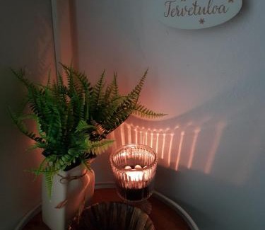 Oulu Apartment | Kaarteen yksiö