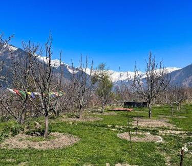 Jagatsukh Ski Chalet | Kahaani - Luxury Wooden Chalet in Manali