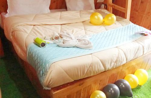 New Manali Resort | Kaira huts
