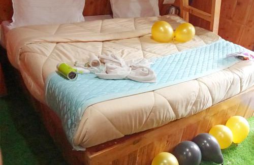 New Manali Resort | Kaira huts