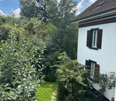 Kaiseraugst Apartment | Kaiseraugst