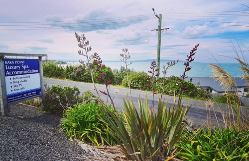 Kaka Point Apartment | Kaka Point Luxury Spa Accommodation