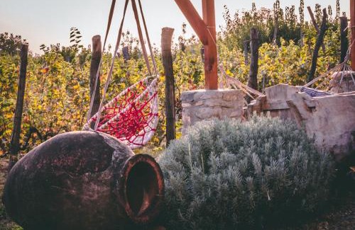 Gurjaani Hotel | Kakhetis Guli Travel&Winery