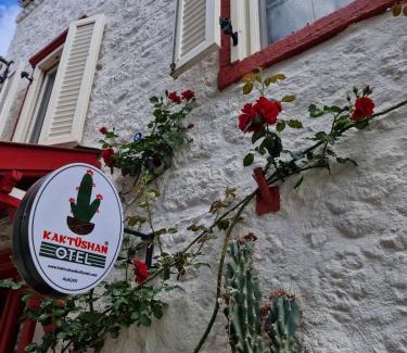 Tokoglu Hotel | kaktüshan otel