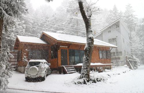 Iida Ski Chalet | Kamoshika Cottage Hakuba