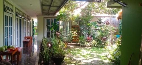 Songgom House | Kampung Guest House