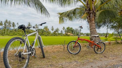 George Town House | Kampung Nature Stilt House with Paddy Field View