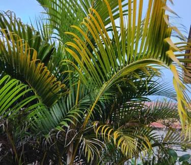 Le Morne-Rouge House | KAN'DLO