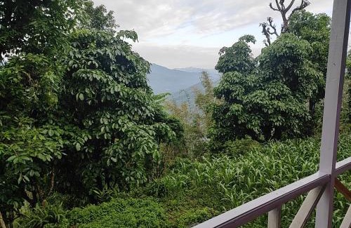 Rishop House | Kanchan Kunja Homestay