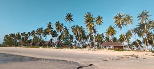 Mafia Island Hotel | Kanga Beach Paradise