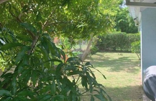 St. Ann's Bay House | Kanhai Villa