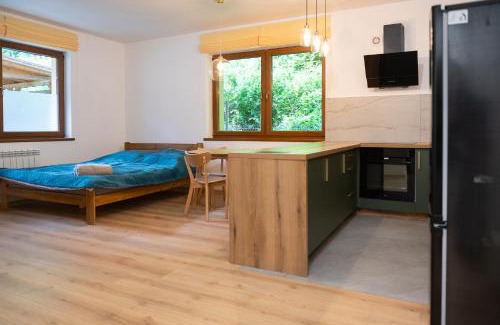 Zakopane Apartment | KANIA Apartamenty - Zakopane