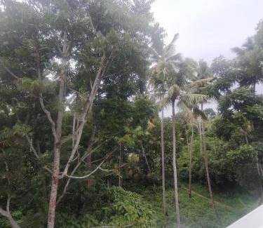 Kuzhithurai Apartment | Kanykumari Shore River Nest