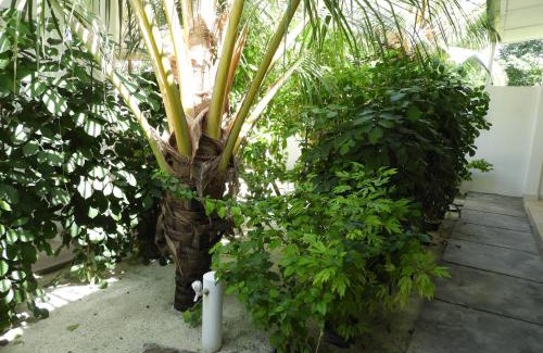 Thoddoo House | Karaa Village