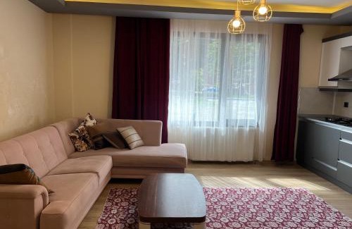 Uzungol Apartment | Karadeniz Apart Otel