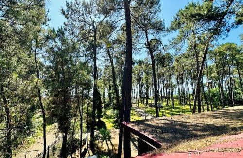 Magnetiti Hotel | Karakum Villa
