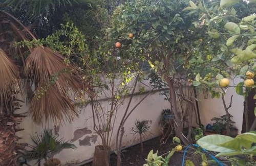 Safi House | Karma