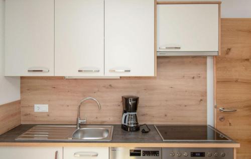 Liesing Apartment | Karnische Alpen