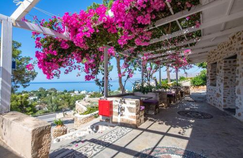 Pefkos Hotel | Karpathios Studios Pefkos