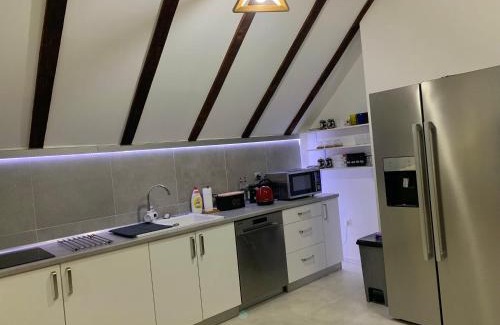 Mali Radic Apartment | KARTAL centar apartment