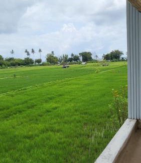 Lovina Resort | Kartika Villas