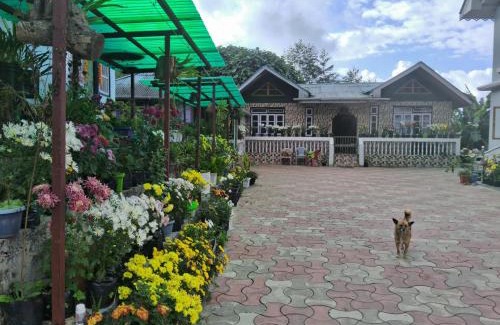 Geyzing House | Kashyap Homestay