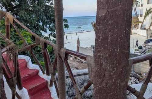 Nungwi Apartment | Kassandra Beach And Restaurant Mixed Dormitory Room