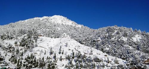 Kanatal Resort | Kastura Cottages - Kanatal