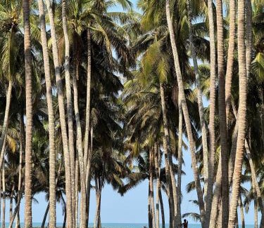 Chavakkad House | Katadi beach homestay