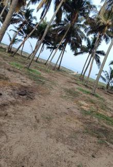 Chavakkad House | Katadi beach homestay