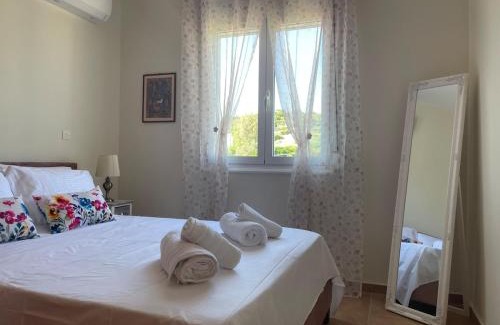 Paralia Agias Fotinis Apartment | Katerina's Sea View House A