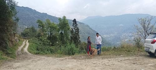 Gangtok House | Katus