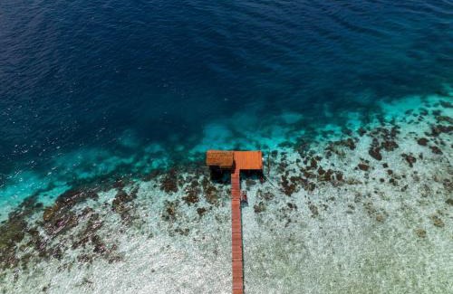Raja Ampat House | Kayafyof Homestay