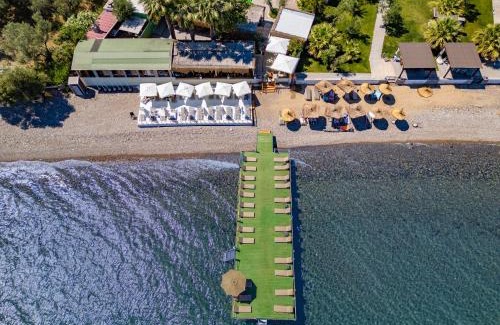Ayvacik Hotel | Kayalar Blue Beach Hotel