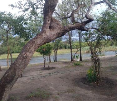 Kongola Other | Kayubo Campsite
