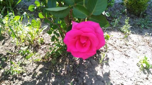 Dnipropetrovsk Oblast Hotel | Kazanok