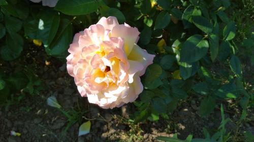 Dnipropetrovsk Oblast Hotel | Kazanok