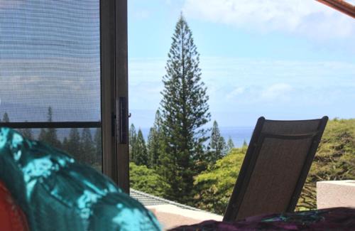 Kapalua Apartment | KBM Resorts FREE CAR Kapalua Golf Villa Ocean view 2-Bedroom Condo Recently Remodeled KGV-19P3