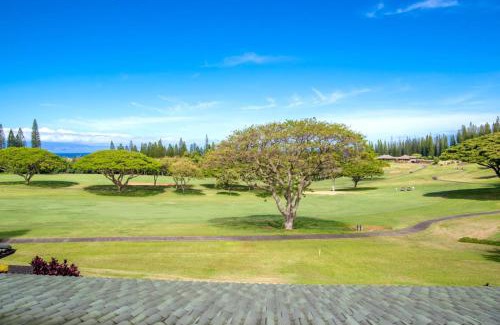 Kapalua Apartment | KBM Resorts FREE CAR Kapalua Golf Villa Ocean view 1-Bedroom Condo Recently Remodeled KGV-16T4