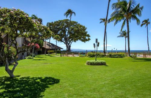 Kihei Apartment | KBM Resorts FREE CAR Maalaea Surf 1-Bedroom Condo with Prime Location Turtle views MSR-F2