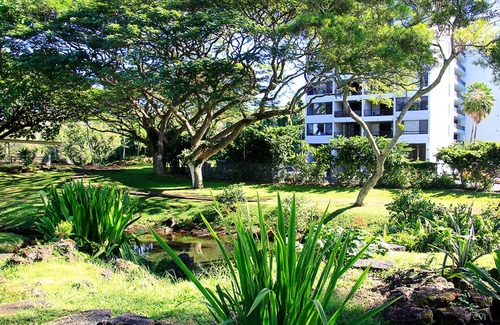 Hilo Condo | KeALOHA - INCREDIBLE views, Spectacular Beach Park, the Best snorkeling, Turtles