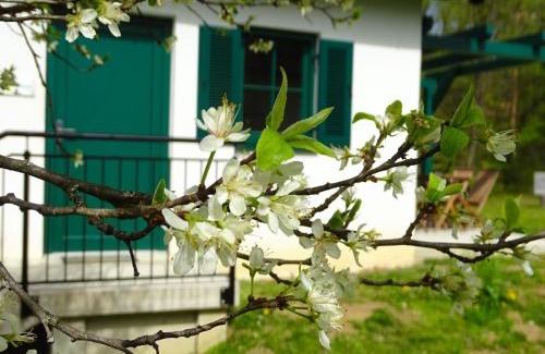 Kohfidisch House | Kellerstöckl am Berg - Das Grüne