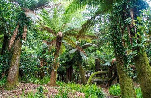 Kells House | Kells Bay House and Gardens