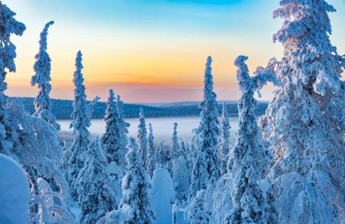Enontekio Hotel | Kelo Resort - northern lights and adventures in the wilderness of Kittilä
